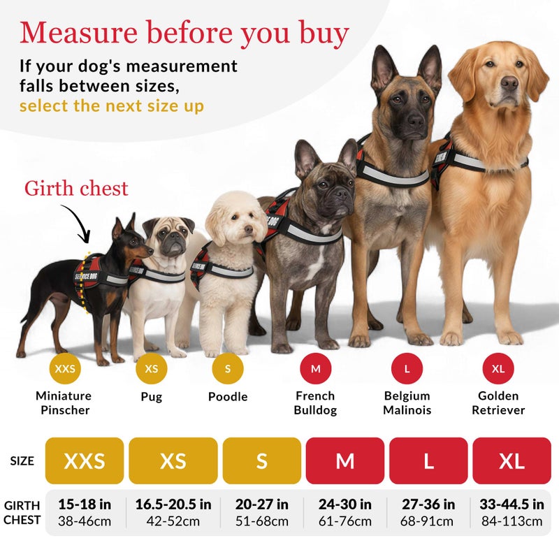 ALBCORP Service Dog Vest Harness â€“ Reflective, No-Pull Harness with Handle & Comfy Mesh Padding â€“ Sizes XXS-XL for Puppies, Small & Large Dogs â€“ 2 Removable Service Patches Included (Large, Black) - Image 3